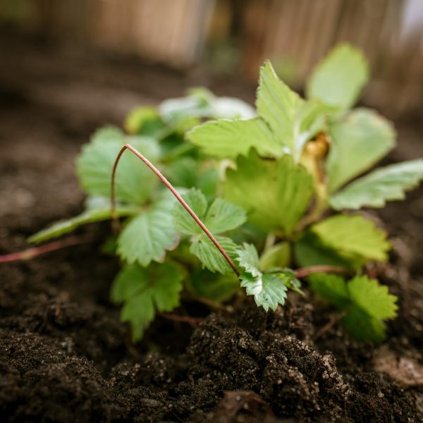 IVN natuureducatie GOUDA Anne Kære fotografie Vindingrijk