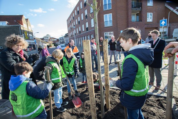 Jongeren planten boom