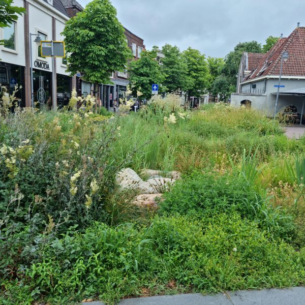 Achter de Waag 2
