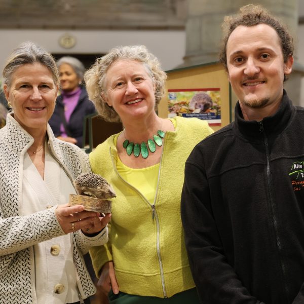 Creatiefste egelroute 2025 prijs buurtgroen