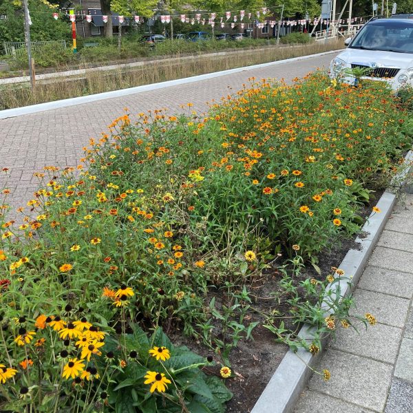 Grijs wordt groen Karnemelksloot