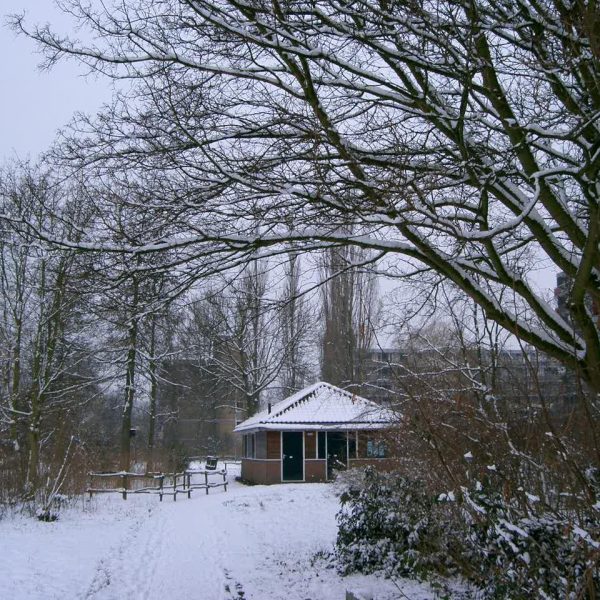 Heemtuin Winter 026