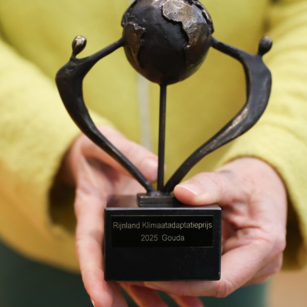 Klimaatprijs 2025 Rijnland beeldje