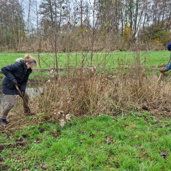 Samen boompje oogsten 20211124 125725