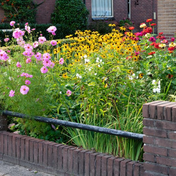 Bloeiendevoortuin