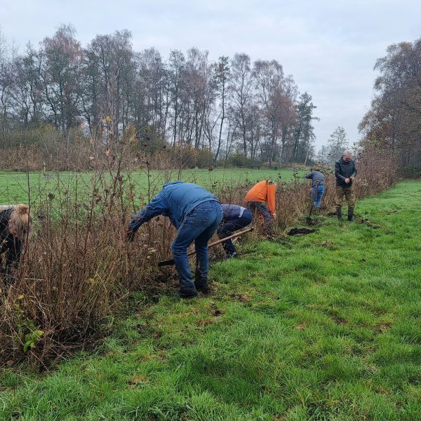 Boompjs oogsten met hele groep 20211124 093942