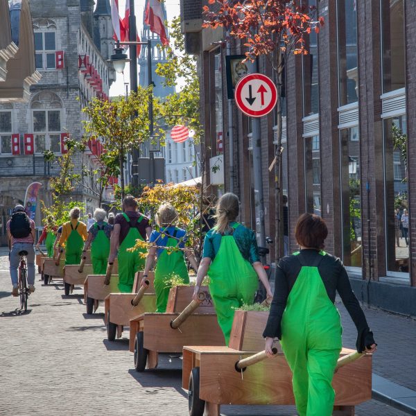 Wandelende bomen in het centrum van Gouda