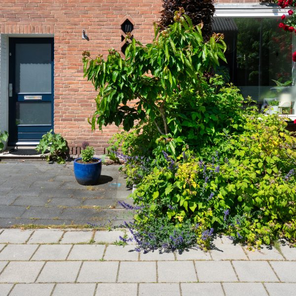 Versteende voortuinen naast groene voortuin