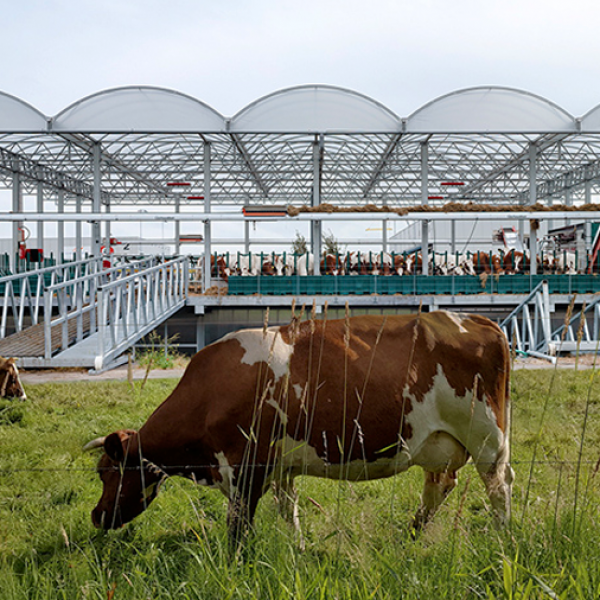 Floating farm