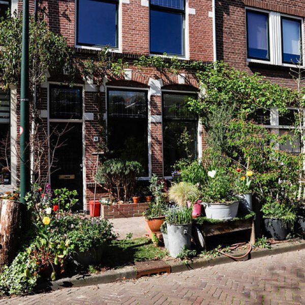 Geveltuin op de Raam in Gouda