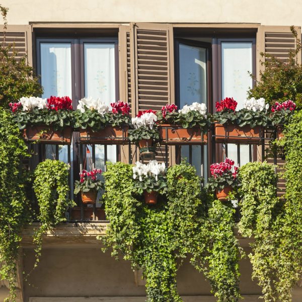 Hanging balcony garden