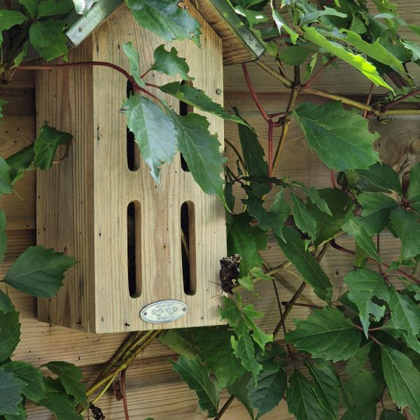 Vlinderkastje in de tuin van Jan