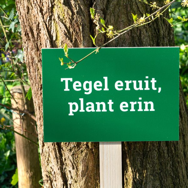 Tegel eruit plant erin