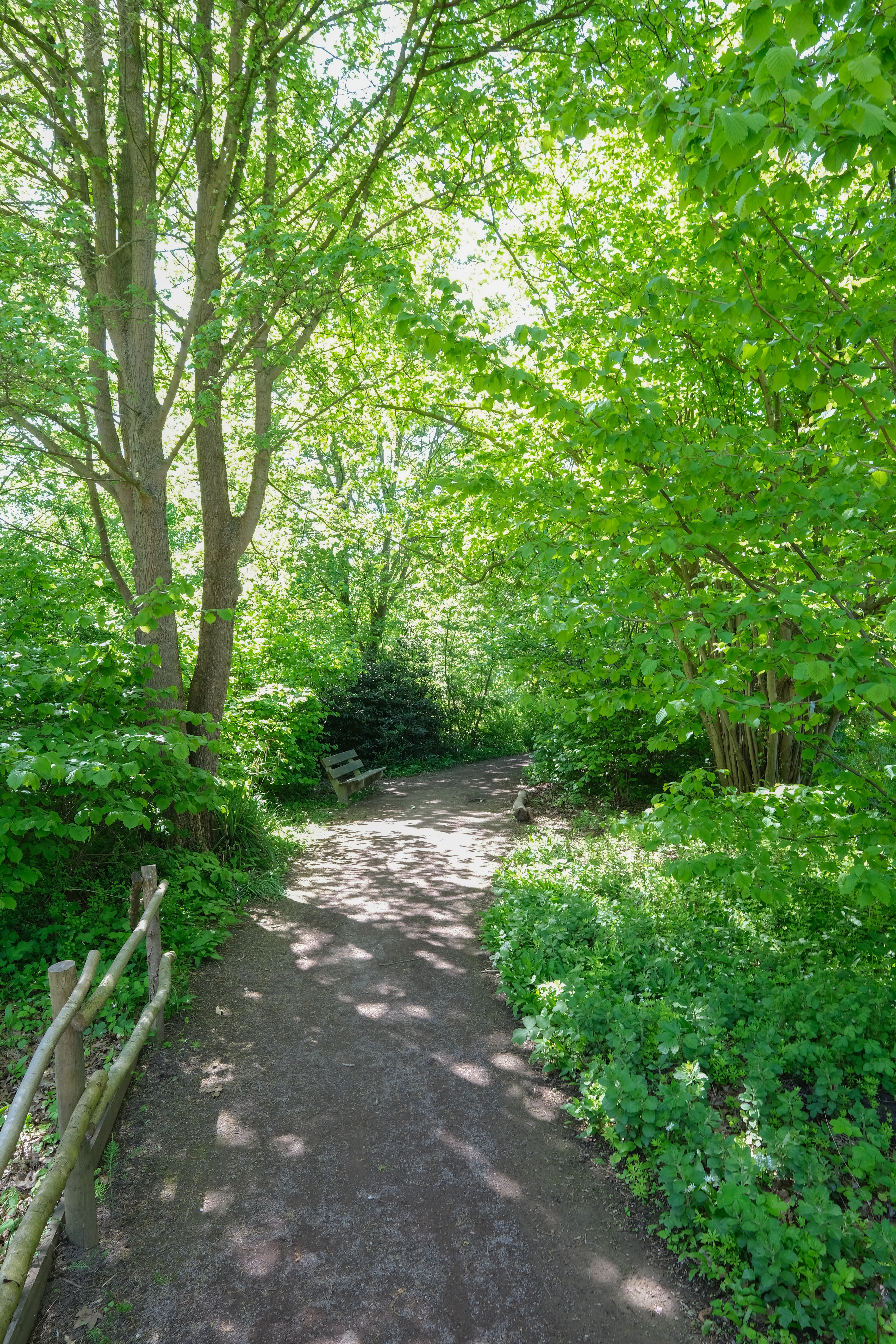 Bomen en struiken op Heempad