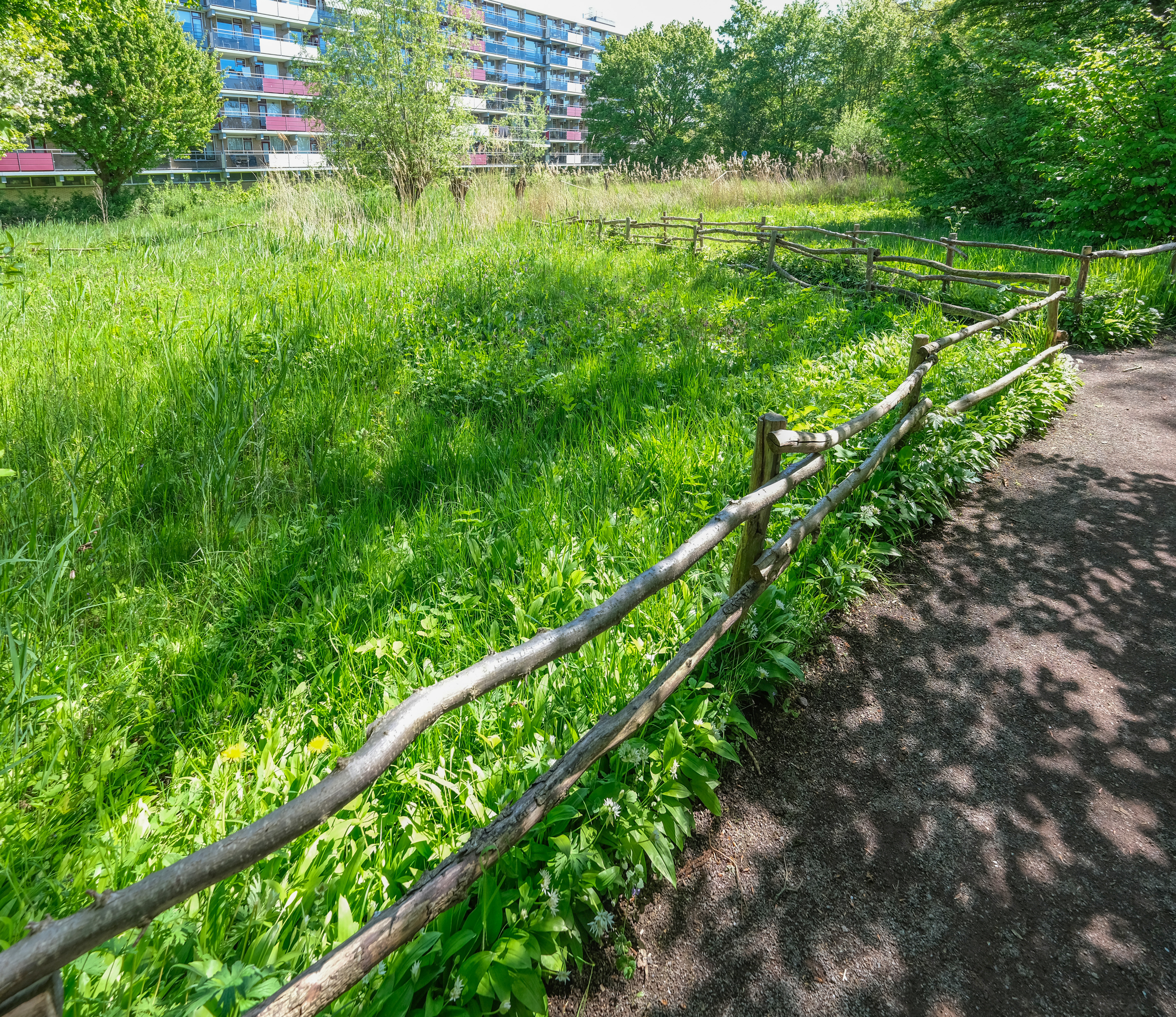 Kruidenrijk grasland