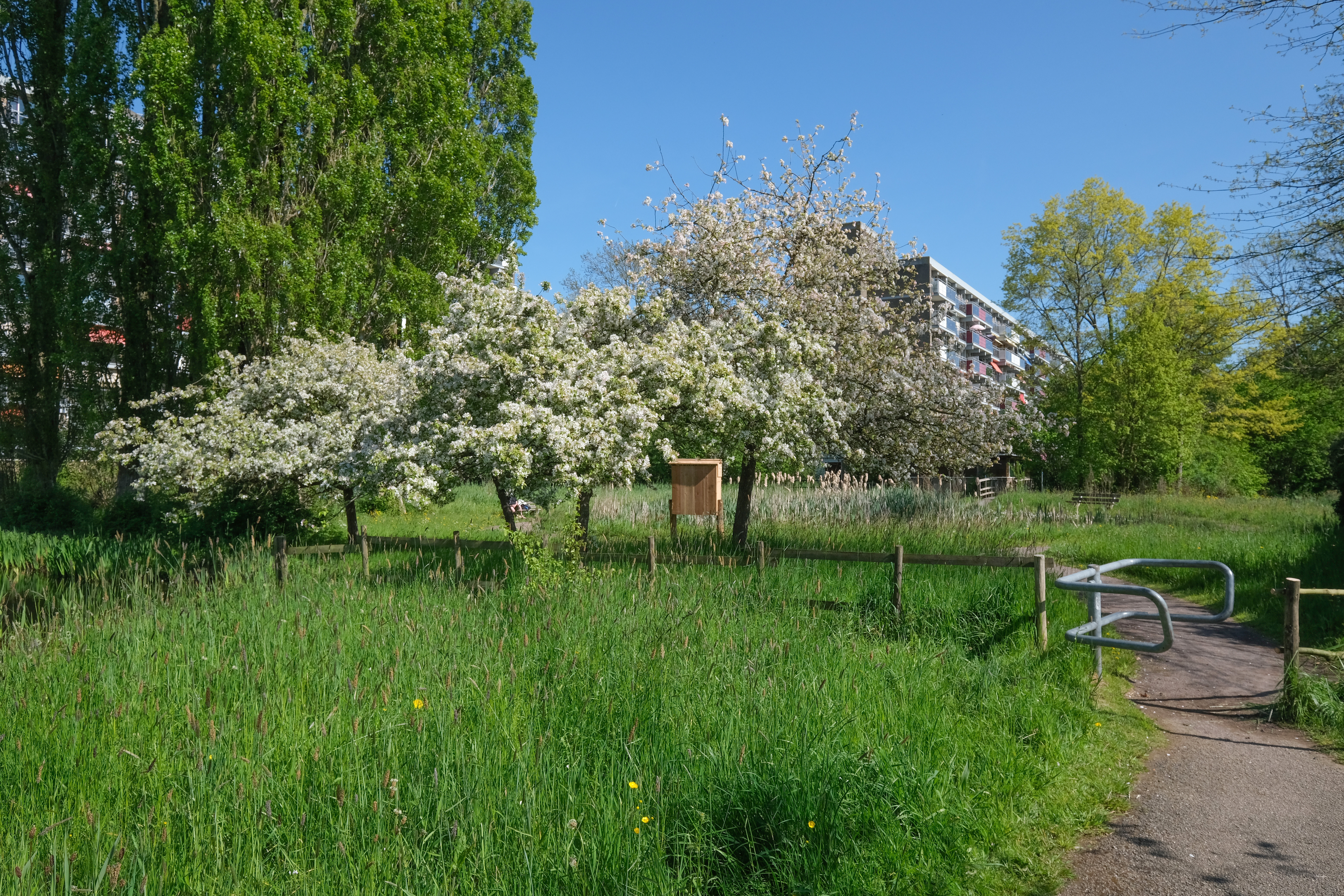 Fruitbomen Heempad