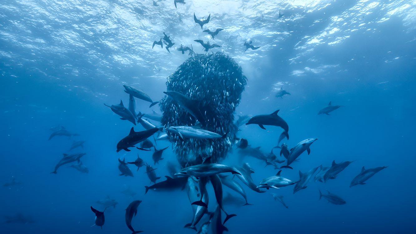 Film Ocean